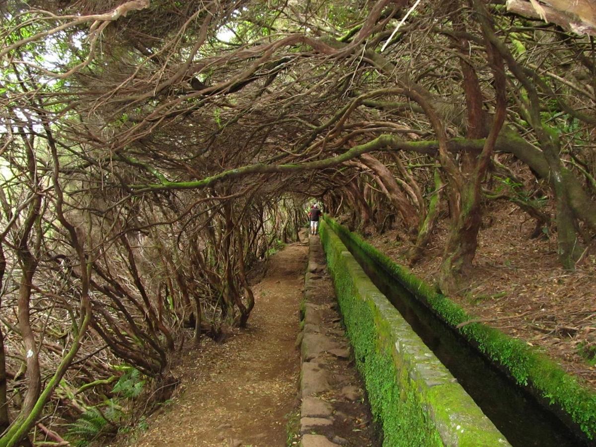 Beautiful View 1 - - Ilha Da Madeira Apartment *